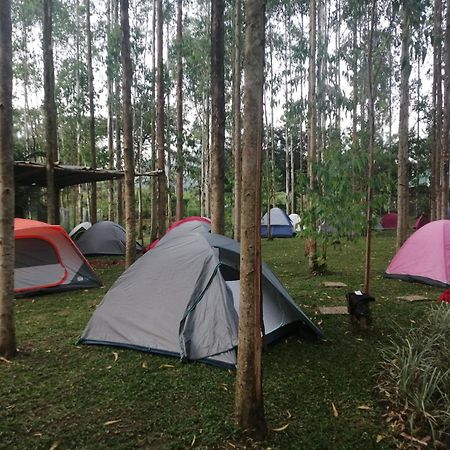 Murchison Backpackers Masindi Экстерьер фото