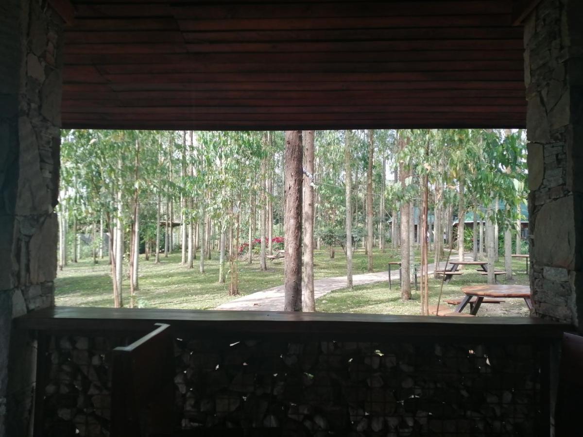 Murchison Backpackers Masindi Экстерьер фото