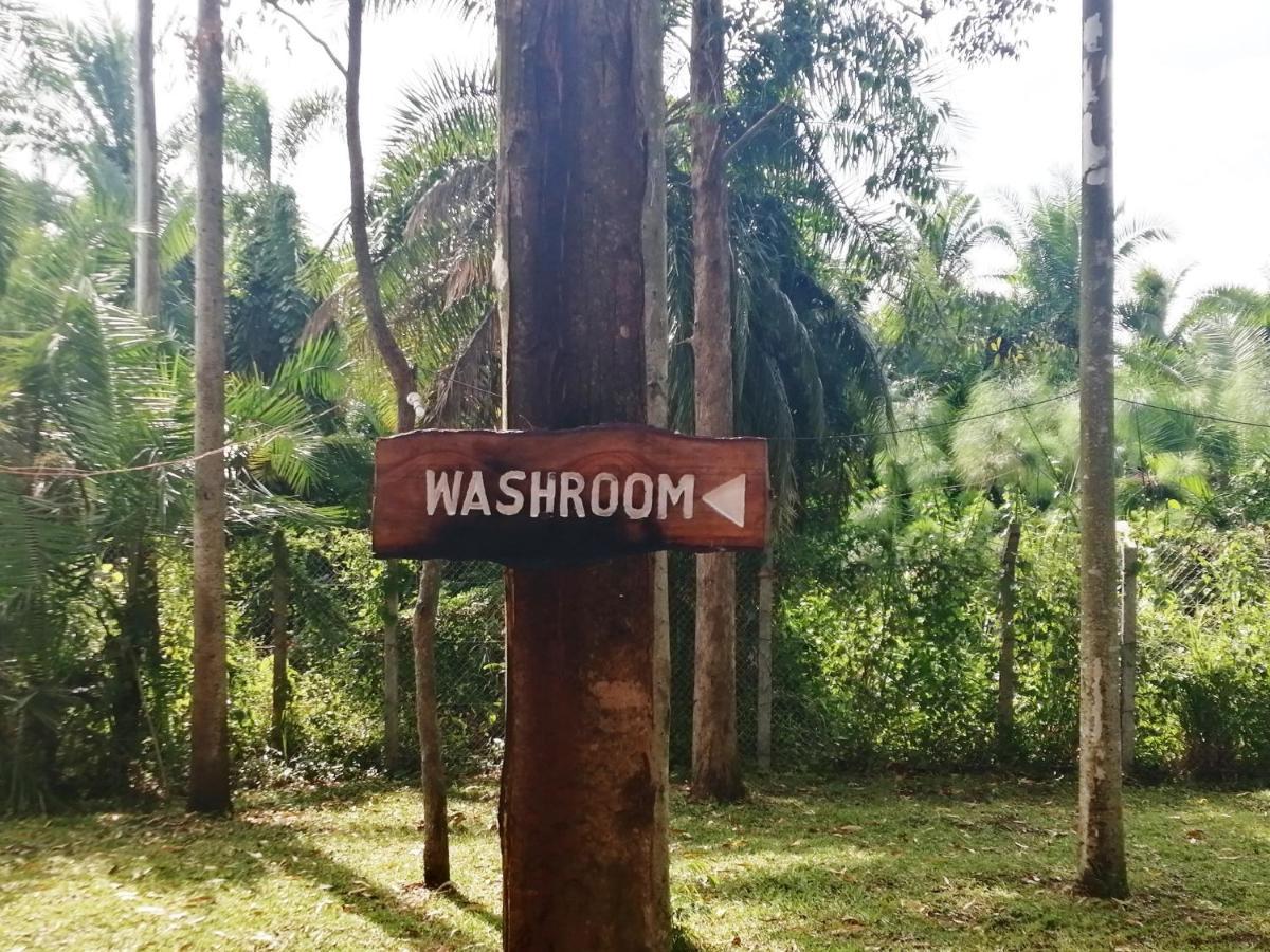Murchison Backpackers Masindi Экстерьер фото