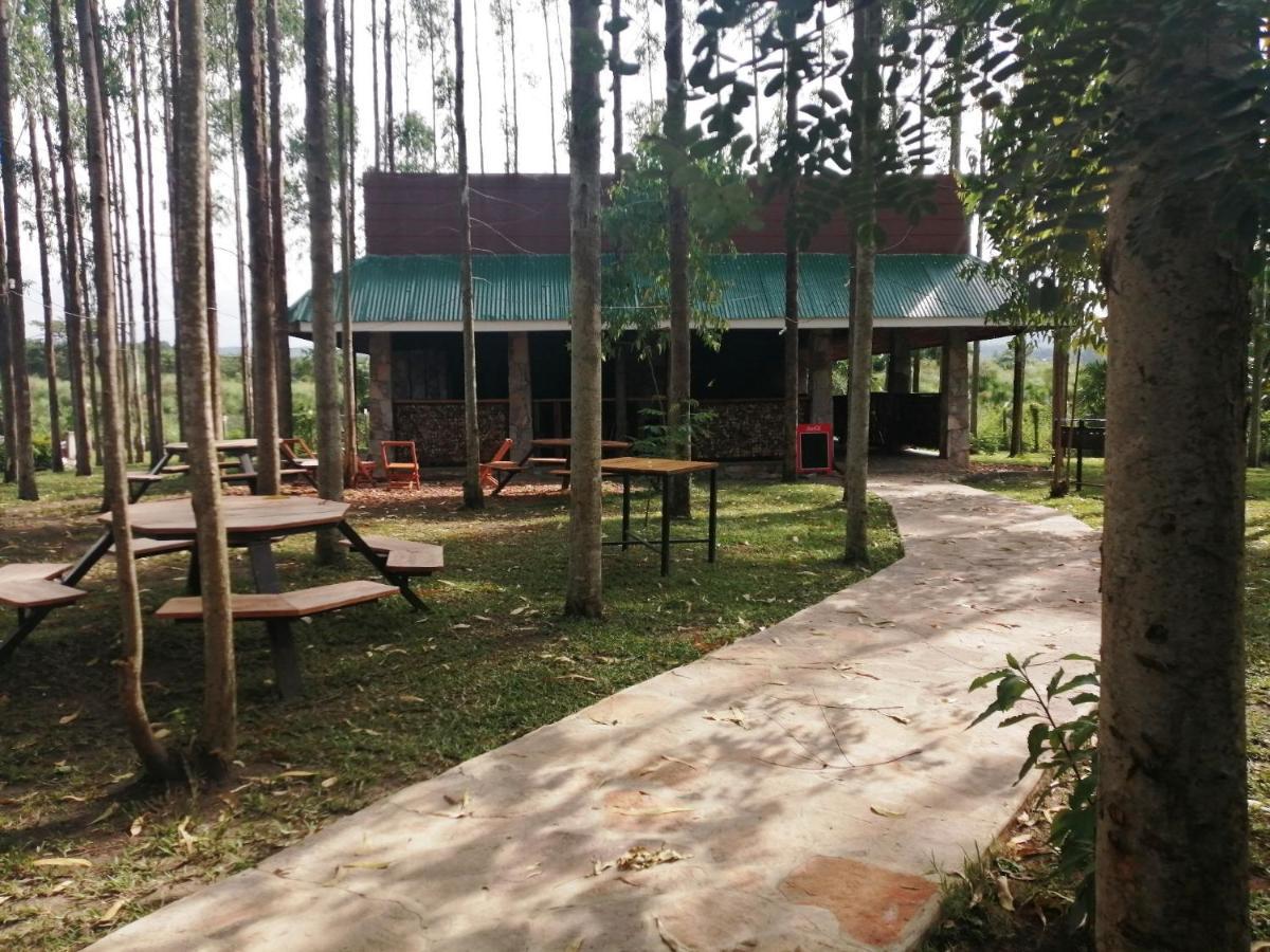 Murchison Backpackers Masindi Экстерьер фото