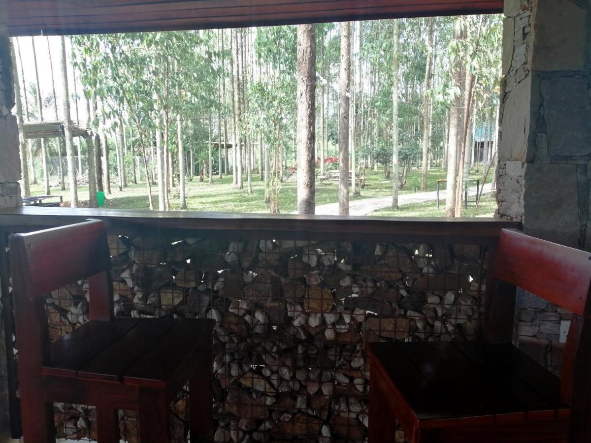 Murchison Backpackers Masindi Экстерьер фото