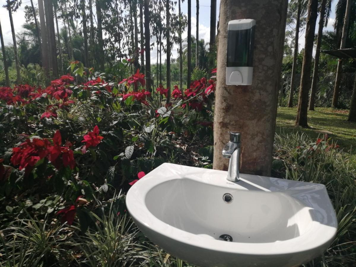 Murchison Backpackers Masindi Экстерьер фото